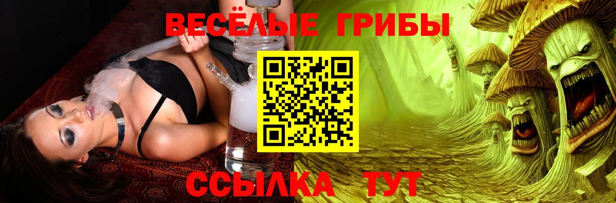 Галлюциногенные грибы Psilocybe  Артёмовский 